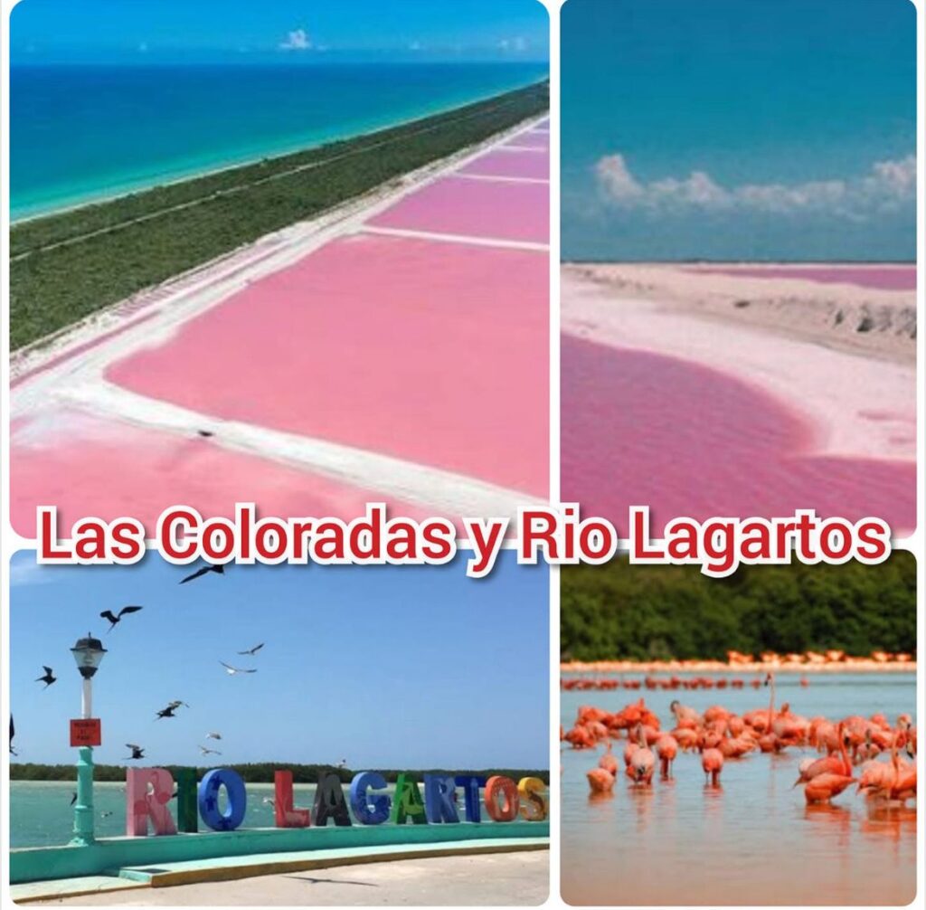 WhatsApp Image 2025-09-16 at 6.15.14 PM